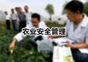 ũҵ��ȫ����