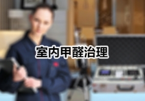 ���ڼ�ȩ����