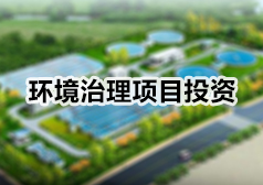 ����������ĿͶ��