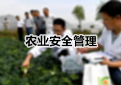 ũҵ��ȫ����